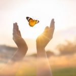Two hands with a butterfly floating between them with the sun shining from behind the butterfly. Symbolizing Chris Collins' therapy for life transitions.