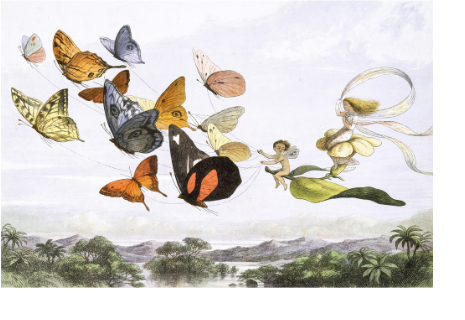 Butterflies pulling a fairy on a leaf chariot